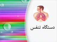 پاورپوینت دستگاه تنفس